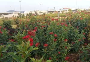 ﻿ கிளாம்பாக்கம் காலநிலை பூங்கா முழு நேரமும் திறக்க வலியுறுத்தல்