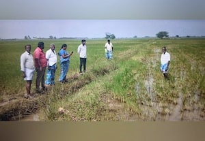 ﻿ மழையால் பயிர்கள் சேதம் கணக்கெடுப்பு பணி துவக்கம்