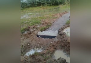 ﻿ பத்தகட்டையில் மீன்பிடிப்பு