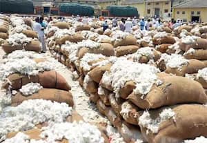 ﻿ பஞ்சு இறக்குமதிக்கு வரி விலக்கு நீட்டிக்க கோரும் நுாற்பாலைகள்