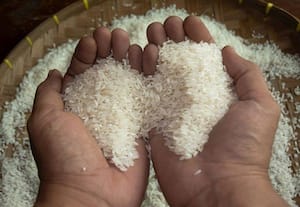 ﻿ அரிசி இறக்குமதிக்கான வரியை அமெரிக்கா எவ்வளவு உயர்த்தினாலும் பாதிப்பு இருக்காது நெல், அரிசி வணிகர் சம்மேளனம்