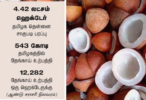 ﻿ கொப்பரை விலை சரிவு சிண்டிகேட் காரணமா? தென்னை விவசாயிகள் அதிர்ச்சி 