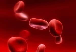 ﻿ உலகில் 3 பேருக்கு அரிய வகை ரத்தம்: தாய்லாந்து விஞ்ஞானிகள் கண்டுபிடிப்பு