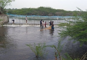 ﻿ கண்மாய் மறுகால் பாயும் நீரில் மீன்பிடிக்கும் இளைஞர்கள்