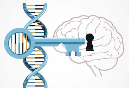 மனநோயை துாண்டும் மரபணு கண்டுபிடிப்பு!