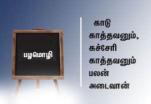  பழமொழி:  காடு காத்தவனும், கச்சேரி காத்தவனும் பலன் அடைவான்