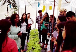 மண் பயன்படுத்தாமல் செடிகள் வளர்க்கும் பெண்மணி