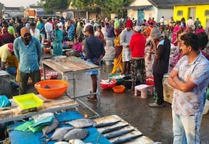  மீன்கள் விலை 'கிடு கிடு'