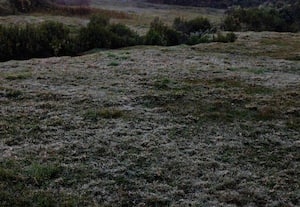  மூணாறில் வழக்கத்தை விட முன் கூட்டியே உறைபனி