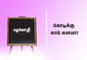  பழமொழி:  கொடிக்கு காய் கனமா? 