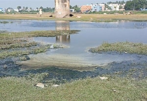 சித்திரை திருவிழா நடக்கும் வைகை ஆற்றுப் பகுதியில் தேங்கிய கழிவுநீர்