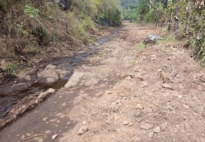  கூடம்நகர் ரோடு பணி நிறுத்தம்: வனத்துறை எதிர்ப்பால் கிராமத்தினர் தவிப்பு