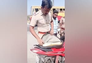  மாமியார் மீது தாக்குதல் மருமகன் சிறையிலடைப்பு மாமியார் மீது தாக்குதல் மருமகன் சிறையிலடைப்பு