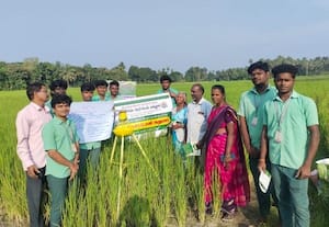  பூச்சி கட்டுப்பாடு செயல் விளக்கம்