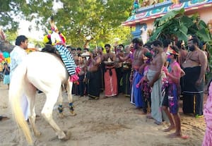  களிமண்குண்டு வெற்றி ஐயப்பன் கோயிலில் மண்டல பூஜை விழா பேட்டை துள்ளல் நடந்தது