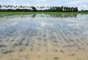 திருவள்ளூரில் வேளாண் உதவி இயக்குநர்கள்... 14க்கு 5 போதுமா?:  விவசாயிக்கு நலத்திட்ட உதவி கிடைப்பதில் சிக்கல்