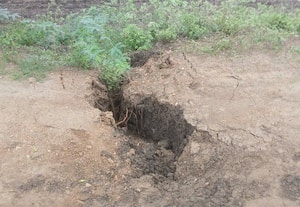  பெரிய கண்மாய் கரையை பலப்படுத்த எதிர்பார்ப்பு