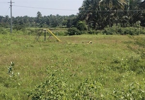 கிராமங்களில் விளையாட்டு மைதானங்கள் ﻿ மாயமாகிறது!  துறைகள் அலட்சியத்தால் தொடரும் அவலம்