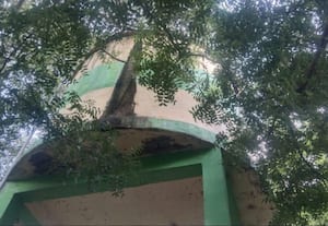  ஆபத்தான நீர்த்தேக்க தொட்டி அகற்ற கிராம மக்கள் கோரிக்கை