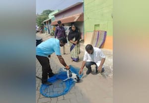  நாய்களுக்கு தடுப்பூசி போடும் பணி தீவீரம்