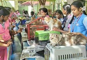  பள்ளியில் செல்லப்பிராணிகள் கண்காட்சி வீடுகளிலிருந்து அழைத்து வந்து அசத்தல்