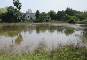  காலி மனையில் தேங்கும் மழைநீரால் கொசு தொல்லை