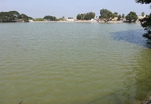  மழையால் நிரம்பியது அரசு ஊருணி வீடுகளில் நிலத்தடி நீர்மட்டம் உயர்வு