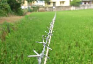  முடிச்சூரில் ஆக்கிரமித்து விவசாயம் செய்த ரூ.8 கோடி குளம் புறம்போக்கு நிலம் மீட்பு