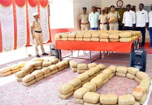  தோப்பில் 564 கிலோ  கஞ்சா பதுக்கிய 10 பேருக்கு 'கம்பி'