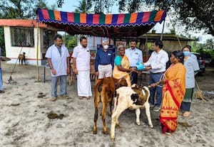  கால்நடை விழிப்புணர்வு முகாம் சிறந்த கிடாரிகளுக்கு ஊக்கப்பரிசு