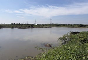  சீமைக் கருவேல மரங்கள் ஆக்கிரமிப்பு, மடை சேதம் தரிசான ஈஞ்சார் கண்மாய் பாசன விவசாய நிலங்கள்