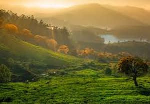 வனத்தில் அத்துமீறி ட்ரோன், கேமரா பயன்படுத்த கூடாது;  விடுமுறை நாட்களில் குற்ற செயல்களை தடுக்க நடவடிக்கை