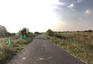  செய்யூர்-- - பாளையூர் சாலையில் சோலார் விளக்கு அமைக்க வலியுறுத்தல்