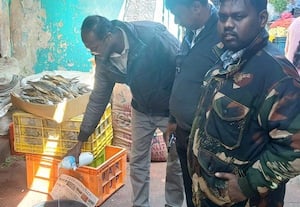  பழைய மீன்கள் விற்ற வியாபாரிக்கு அபராதம்