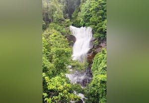  இயற்கை ஆர்வலர்களுக்கு பிடித்த கதம்பி நீர்வீழ்ச்சி