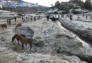ஊட்டி... இப்போது தென்னகத்தின் காஷ்மீர்!
