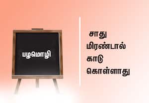  பழமொழி:  சாது மிரண்டால் காடு கொள்ளாது