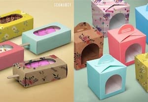  சு ற்றுச்சூழலுக்கு உகந்த பெட்டி தயாரிப்பில் சாதனை