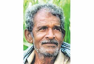 சோளம் விதைத்தால் லாபம் நிச்சயம்!