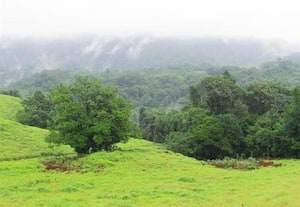  'யுனெஸ்கோ' அந்தஸ்து பெற்ற கங்கமூலா மலை