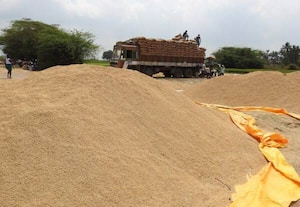  குறுவையில் கடந்த ஆண்டை விட மூன்று மடங்கு நெல் கொள்முதல்