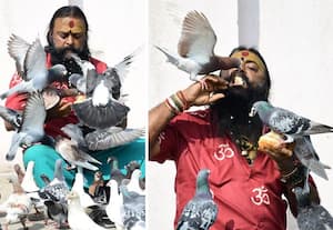  இணை பிரிந்தால்... உயிர்துறக்கும் புறாக்கள்!