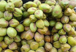  கொள்முதல் விலை குறைவு... இளநீர் விற்பனை விலை அதிகம்