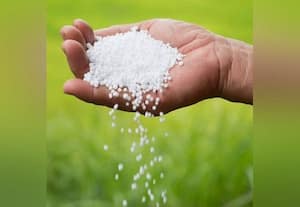  யூரியா இறக்குமதி 120% அதிகரிப்பு