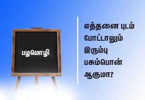  பழமொழி:  எத்தனை புடம் போட்டாலும் இரும்பு பசும்பொன் ஆகுமா? 