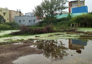 புகார் பெட்டி: ﻿ காஞ்சிபுரம்;   காலிமனைகளில் மழைநீர் தேங்குவதால் கொசு தொல்லை