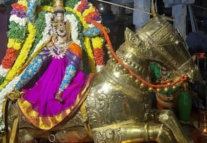  பரமக்குடி சுந்தரராஜ பெருமாள் கோயிலில் வேடு பறி லீலை ராப்பத்து 8ம் நாள் உற்சவம்