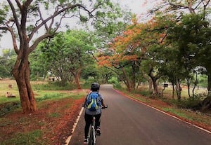  ஹெசருகட்டா - ராஜனகுண்டே  கண்ணை கவரும் வன சாலை