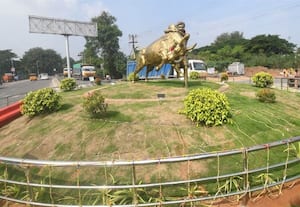  சுங்கச்சாவடி சாலை நடுவே ஜல்லிக்கட்டு காளை சிலை திறப்பு