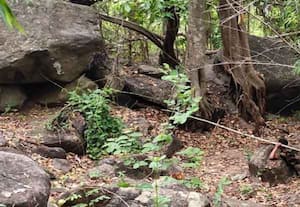 சதித்திட்டம் முறியடிப்பு; ஜம்மு காஷ்மீரில் சக்திவாய்ந்த வெடிகுண்டு கண்டுபிடித்து அழிப்பு